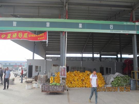 D區(qū)1棚1號-王心智