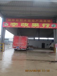 D區(qū)2棚1號-李愛卿