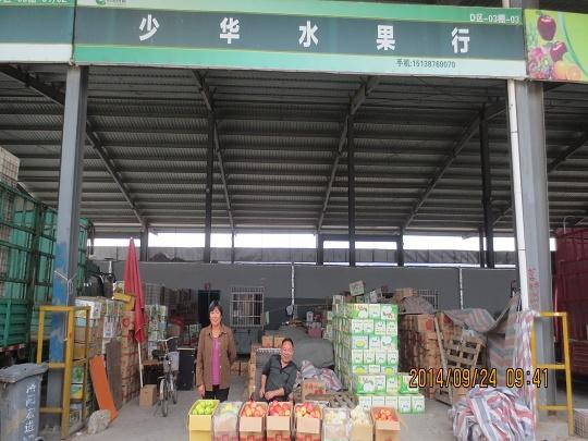 D區(qū)3棚3號-楊建興