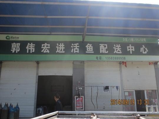 D區(qū)1棟11-12號(hào)活魚